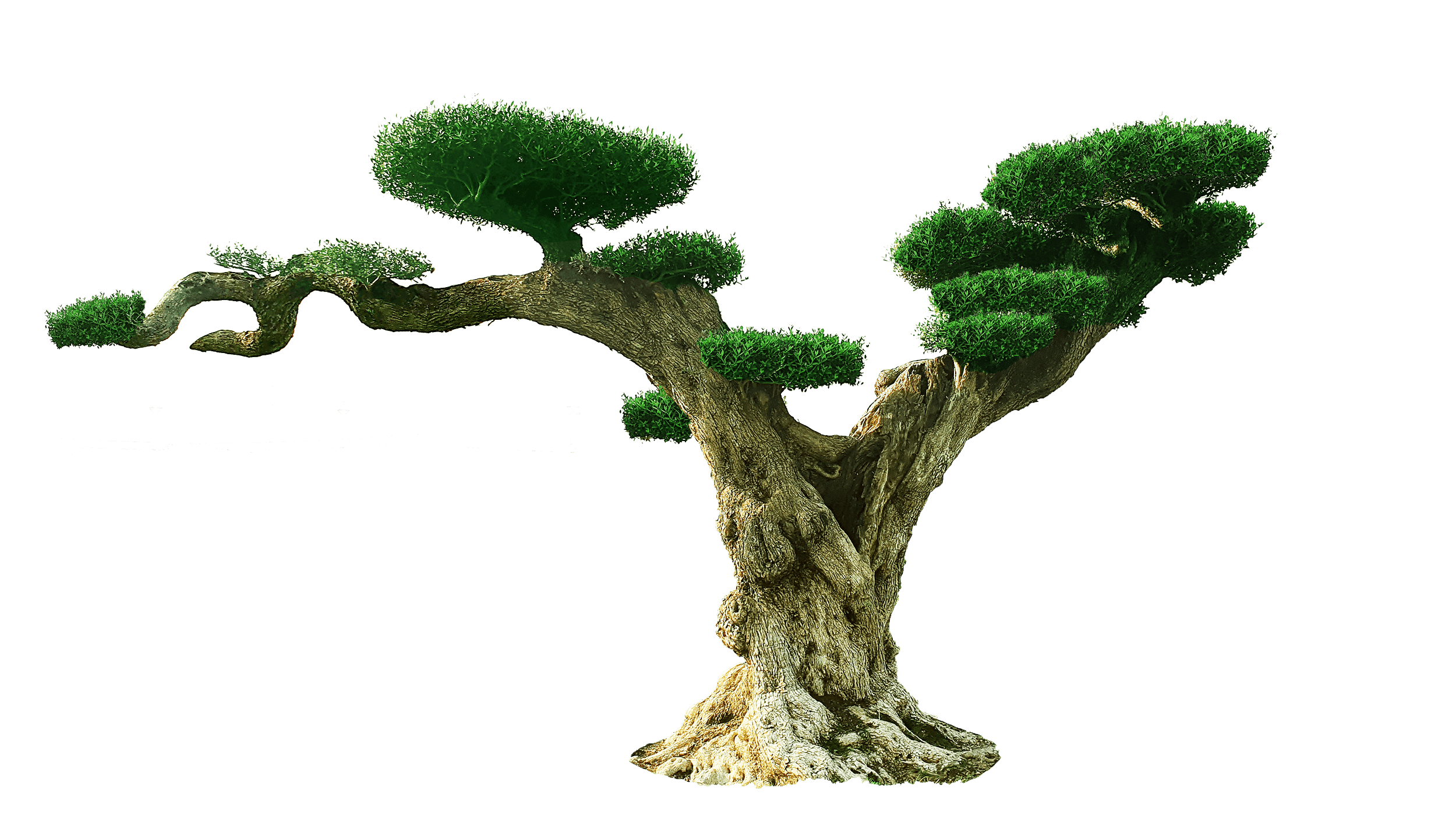 Birthright India's Largest Online Nursery & Agricultural Shop